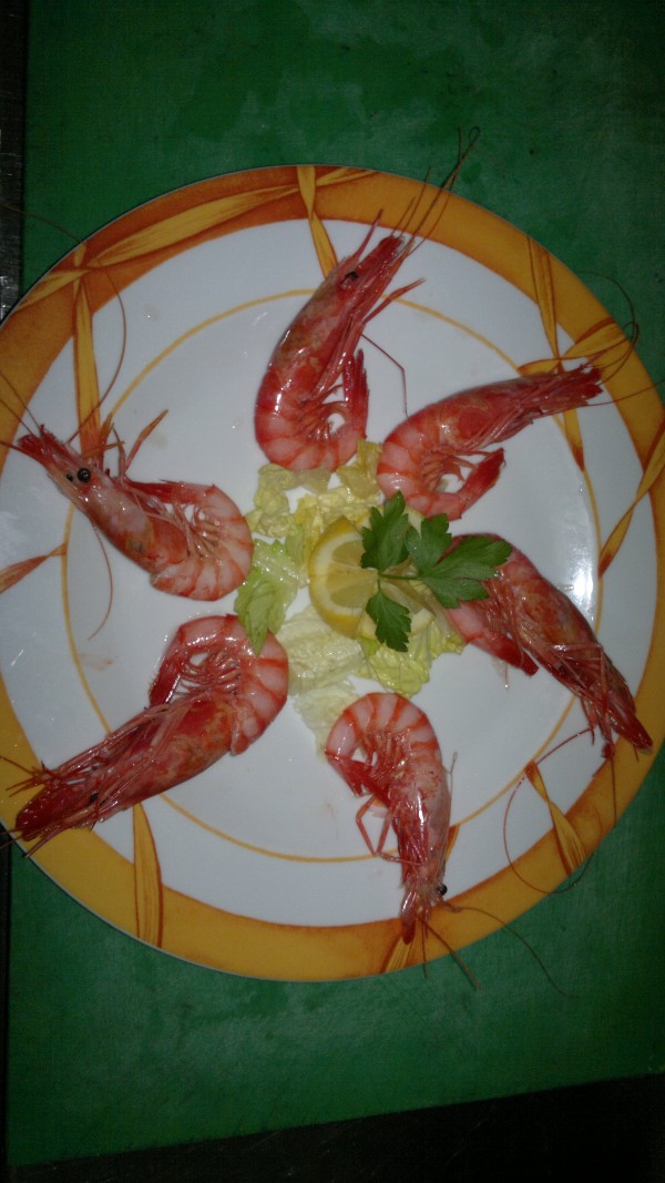 Gamba Cocida