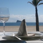 Playa 8