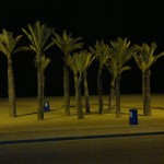 Playa 5